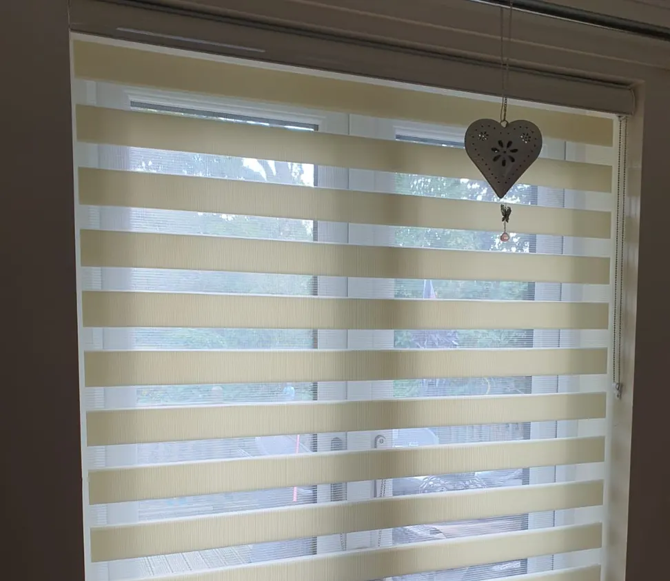 Vision Blinds